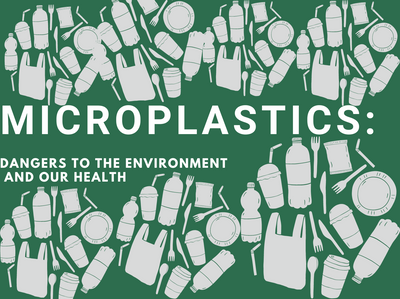 The Menace of Microplastics: Dangers to the Environment and our Health