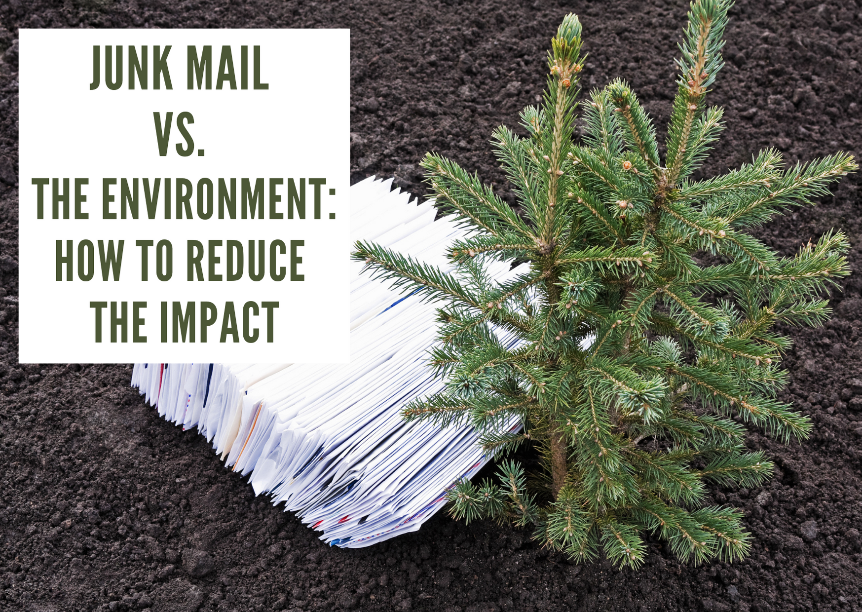 Junk Mail vs. The Environment: How to Reduce The Impact