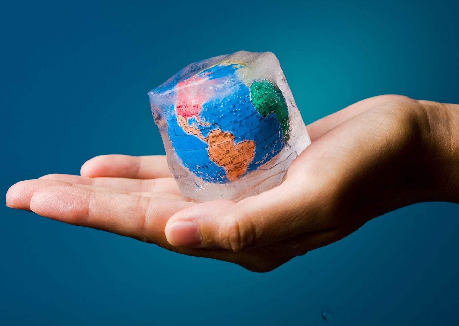 Global Warming | Personal Steps You Can Take to Fight