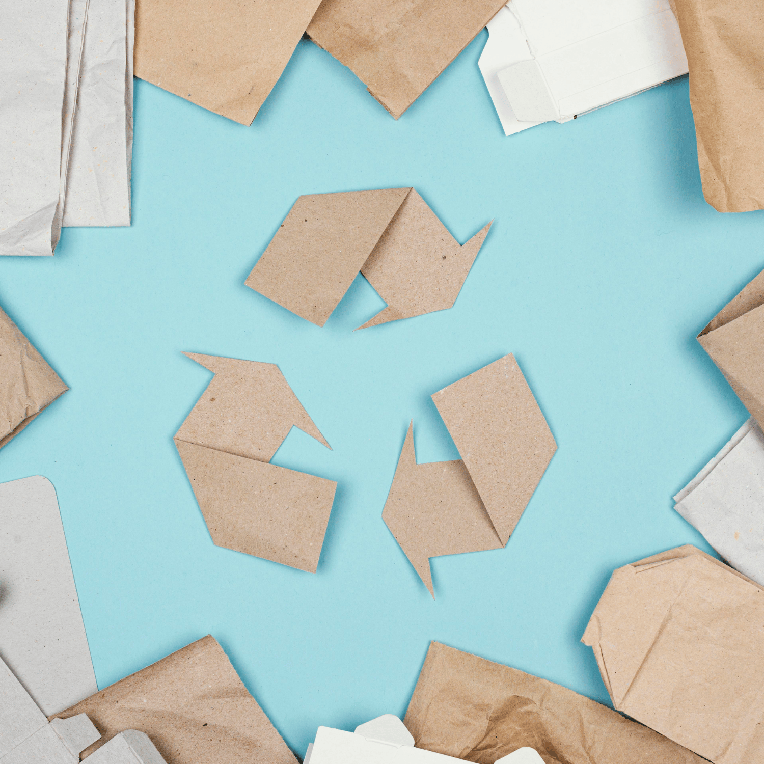 Our Compostable mailing bags vs. other businesses