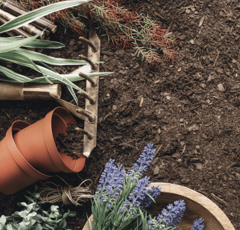 compostable_with_flowers_and_soil